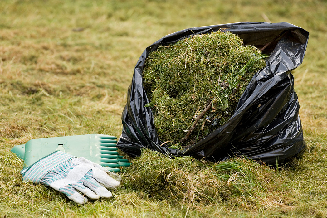 Spring Clean up